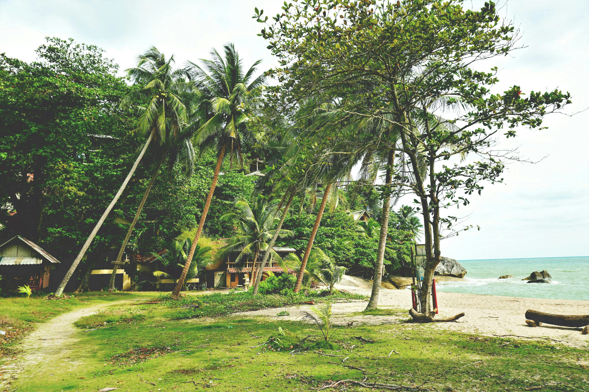 ko pha ngan (3).webp